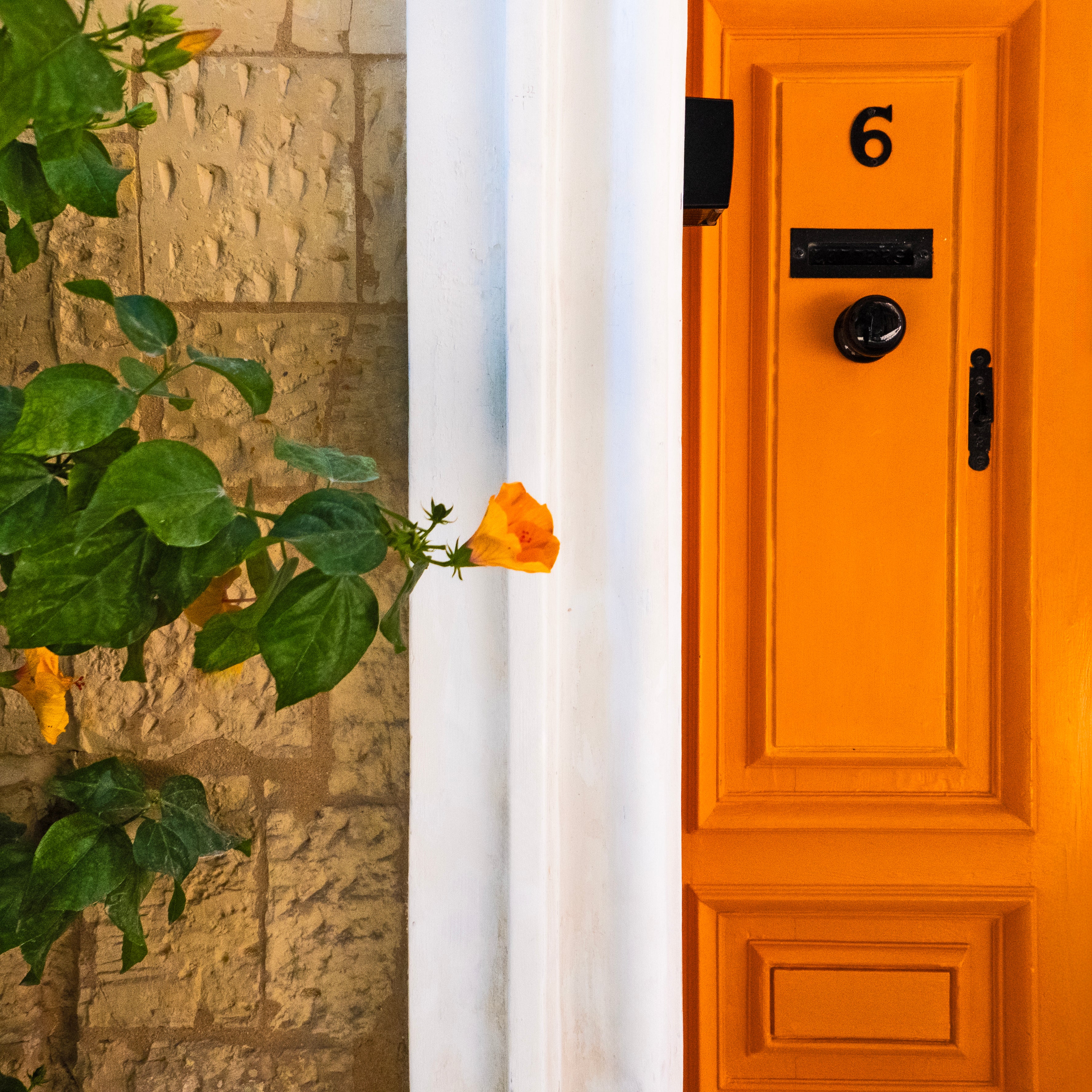 Orange Door - Valletta Streets